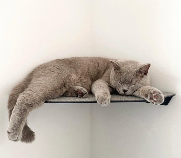 CORNER Eck Katzenliege anthrazit